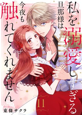 私を溺愛しすぎる旦那様は今夜も触れてくれません(11)